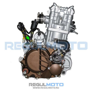 Двигатель ZS174MN 3 (CBS300) (74x65) 4 кл, КПП - 5, вод.охл, без радиаторов с кикстартером  - миниатюра 1