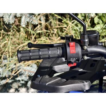 Квадроцикл Rmoto Lion 125 A - миниатюра 3