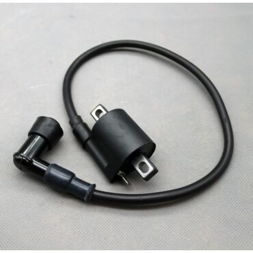 Катушка зажигания CB250 ZS172FMM ZS177mm с колпачком - миниатюра 1