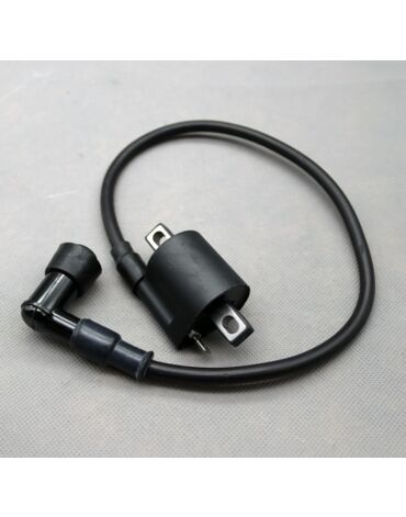 Катушка зажигания CB250 ZS172FMM ZS177mm с колпачком