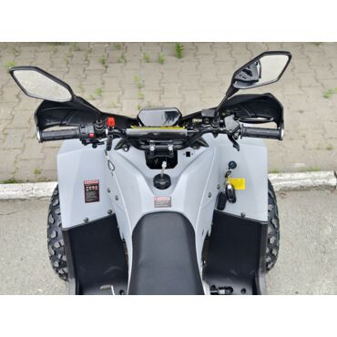 Квадроцикл Rmoto Lion 125 RR - миниатюра 3