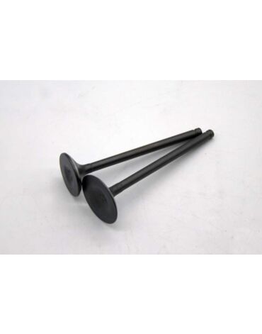 клапаны (впуск выпуск) 163FML (CG200) (d=27 31,5) (I=89,5 91,5) TTR250
