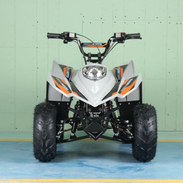 Квадроцикл Regulmoto SK11 - миниатюра 1