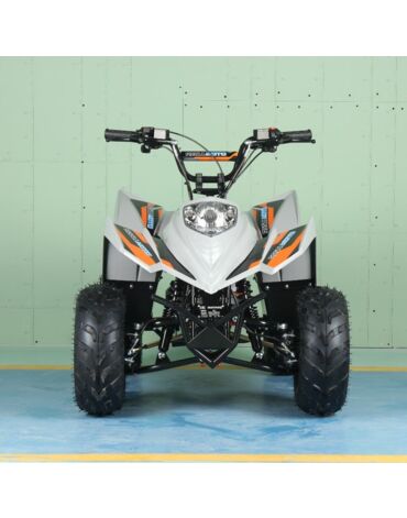 Квадроцикл Regulmoto SK11