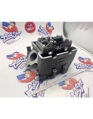 KTM Голова цилиндра 390 Duke RC 13-> ( 93836020033 / 90236020033 )