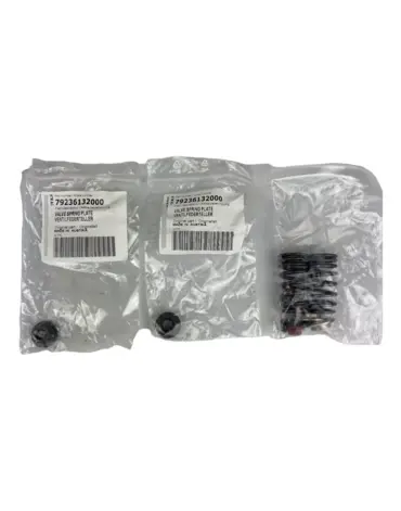 Пружины клапана с тарелками KTM 350EXC F 17 23 / Husqvarna FE350 17 23 / GasGas EC350F 21 23