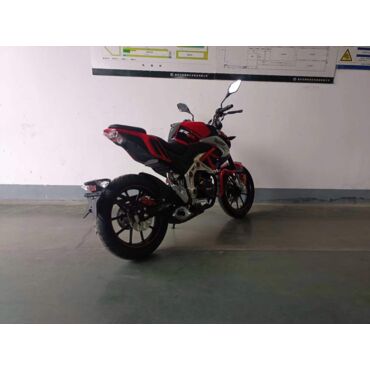 Мотоцикл ROLIZ SPIDER YS166FMM 250cc с ПТС - миниатюра 4