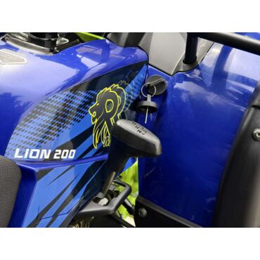 Квадроцикл Rmoto Lion 200 X PRO - миниатюра 2