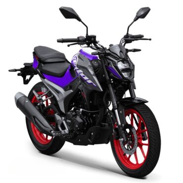 Мотоцикл GPX Raptor RZ200 - миниатюра 1