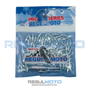 Шипы Regulmoto PRO Series Н19 c карбид фольфрамовым сердечником (дл. резьбы 10мм) компл. 100шт  - миниатюра 1