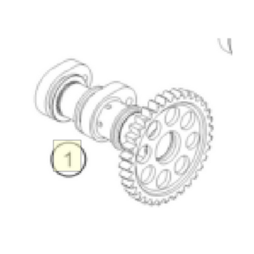 Распредвал впускной KTM 250SX F 23- / Husqvarna FC250 23- / GasGas MC250F 24- - миниатюра 1