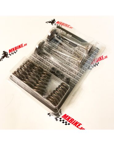 Комплект клапанов с пружинами KTM 450 530 EXC 08 13 / Husaberg FE450, FE501 12 13