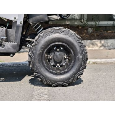 Квадроцикл Rmoto Lion 130 RR - миниатюра 5