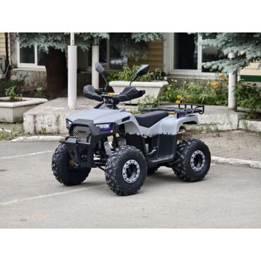 Квадроцикл Rmoto Lion 125 RR - миниатюра 6