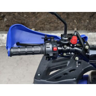 Квадроцикл Rmoto Lion 200 R - миниатюра 3