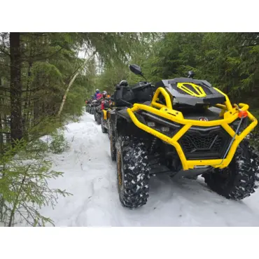 Квадроцикл BRC X Terra 1000 CT - миниатюра 2
