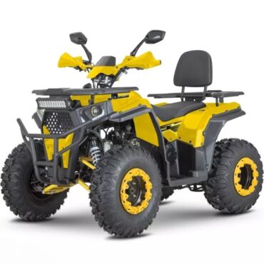 Квадроцикл Dazzle ATV200 Комплектация 1 - миниатюра 1