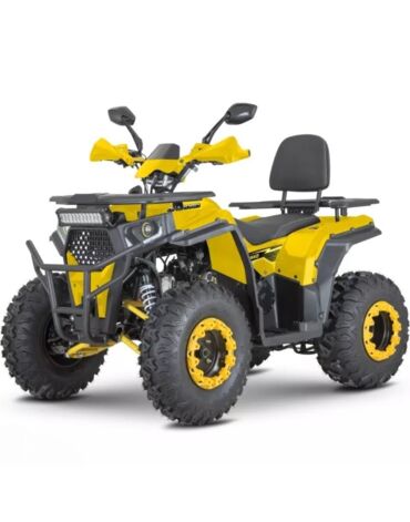 Квадроцикл Dazzle ATV200 Комплектация 1