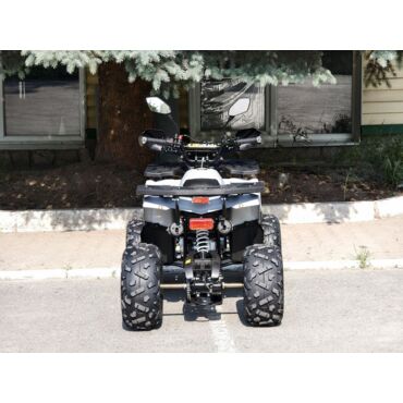 Квадроцикл Rmoto Lion 125 AА - миниатюра 2