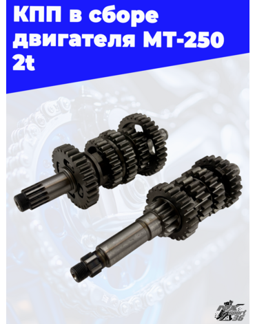 КПП в сборе двигателя MT 250 2t