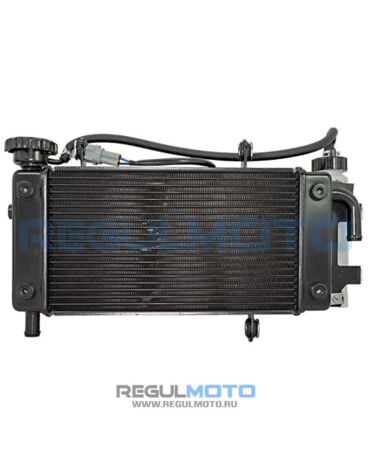 Радиатор Regulmoto FARGO 