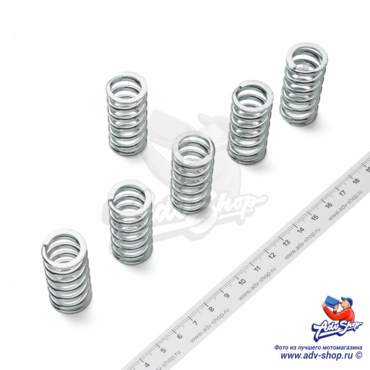 TRW CLUTCH SPRING MEF 106 6 Пружины сцепления усиленные  комплект  XRV750 (10043942) - миниатюра 1
