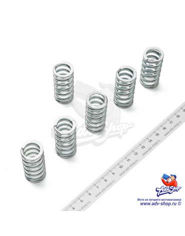 TRW CLUTCH SPRING MEF 106 6 Пружины сцепления усиленные  комплект  XRV750 (10043942)