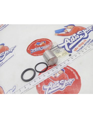 Husqvarna Piston 24mm поршень тормозного суппорта 24мм TE FE 18 21 ( 24013019000 )