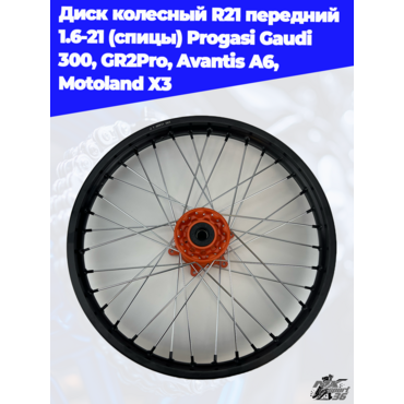 диск колесный R21 передний 1.6 21 (спицы) Progasi Gaudi 300, GR2Pro, Avantis A6, Motoland X3 - миниатюра 1