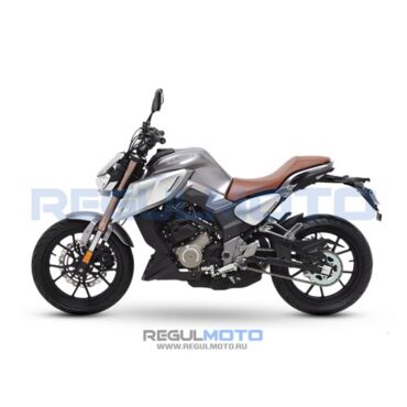 Мотоцикл Regulmoto ALIEN MONSTER 300  - миниатюра 1