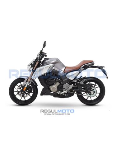 Мотоцикл Regulmoto ALIEN MONSTER 300 