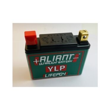 АКБ LITHIUM ION YLP09X 12V8AH - миниатюра 1