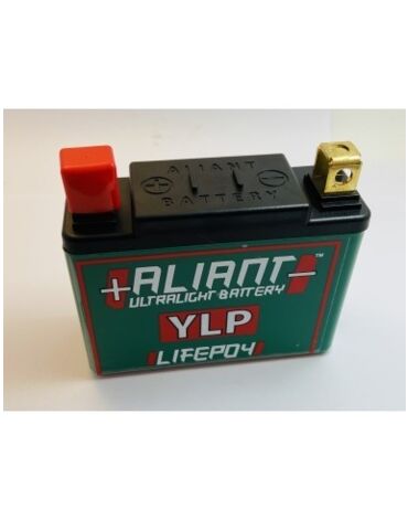 АКБ LITHIUM ION YLP09X 12V8AH