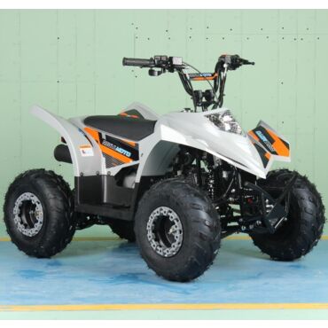 Квадроцикл Regulmoto SK11 - миниатюра 2