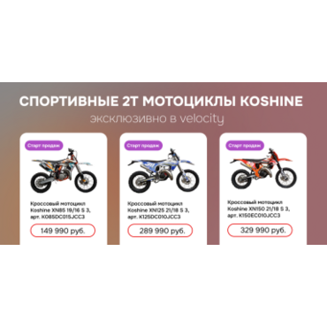 Защита резонатора карбоновая для 2T Koshine XN125/150 - миниатюра 1