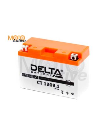 CT1209.1 Delta Аккумуляторная батарея
