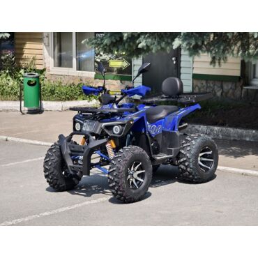 Квадроцикл Rmoto Lion 200 R - миниатюра 4