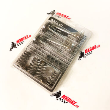 Комплект клапанов ГРМ с пружинами KTM 450SX F 12 18 / Husqvarna FC450 14 18 OEM 78936030110 - миниатюра 1