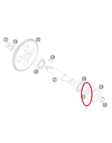Сальник KTM50(01 08) 15*24*5, original