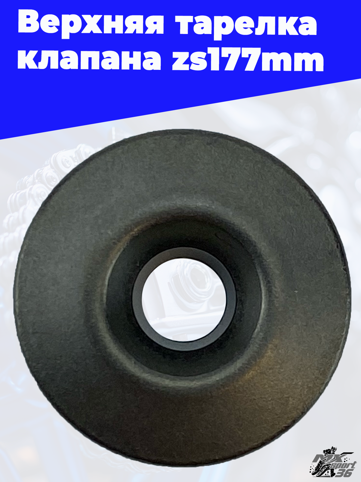 OEM 100061589