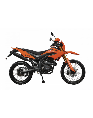 Мотоцикл Minsk X 250
