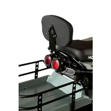 Снегоцикл MOTAX FREERIDE 250 EFI LONG - миниатюра 2