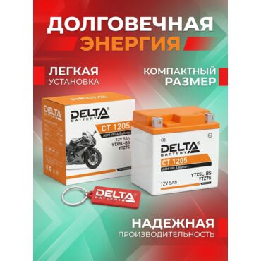 Аккумуляторная батарея Delta СТ1205 - миниатюра 1