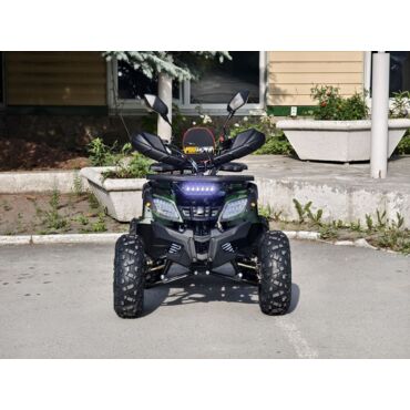 Квадроцикл Rmoto Lion 125 СС - миниатюра 9