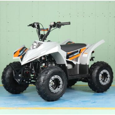 Квадроцикл Regulmoto SK11 - миниатюра 3
