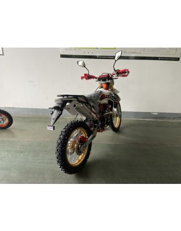 Мотоцикл ROLIZ SPORT 007 ZS172FMM 3A 250сс с ПТС