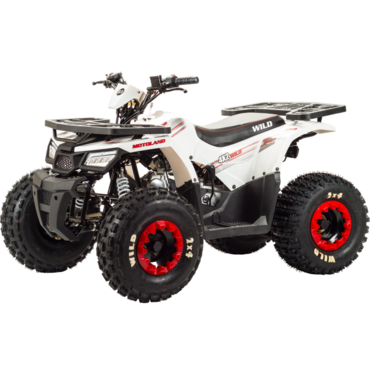 Квадроцикл Motoland WILD 125 - миниатюра 1