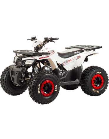 Квадроцикл Motoland WILD 125