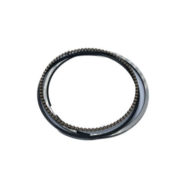 Кольца поршневые d 77 174MN 3 (CBS300) X TECH - миниатюра 1