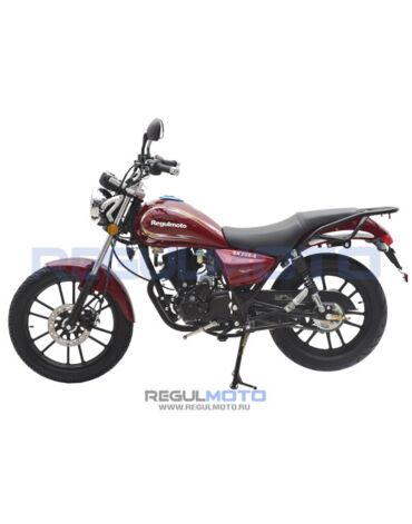 Мотоцикл Regulmoto SK200 8  